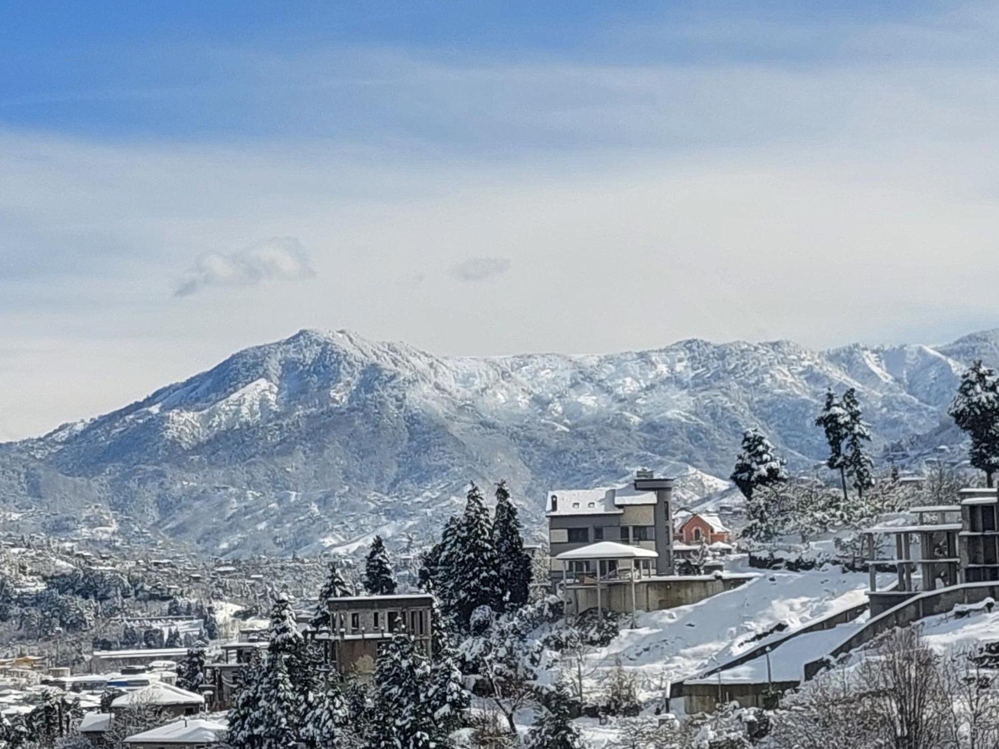 Panorama Batumgora Дом отдыха Батуми