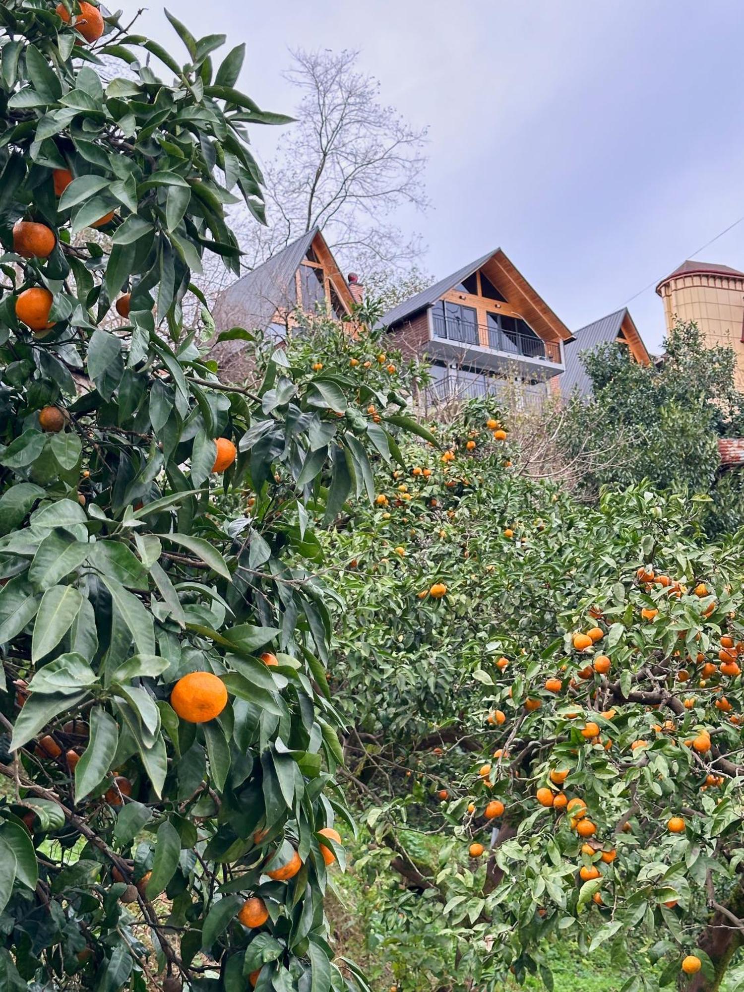 Dom wakacyjny Panorama Batumgora